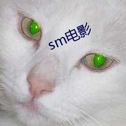 sm电(diàn)影