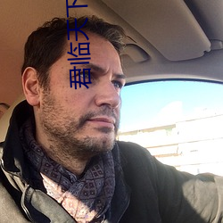君临(lín)天下小(xiǎo)说