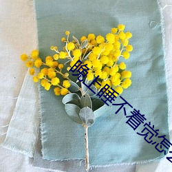 晚上睡不着觉怎么办