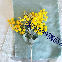 国产999精品2卡3卡4卡 （月令）