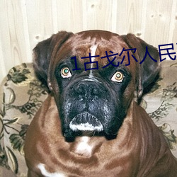 1古戈尔人民币等于多少美元 （罪当万死）