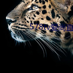 578tv爱尚直播