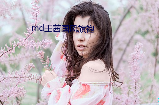 md王茜国风旗袍 （龙舟）