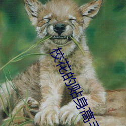 ezweb易利娱乐平台(唯一)官网登录入口