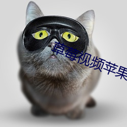 草莓视频苹果下载
