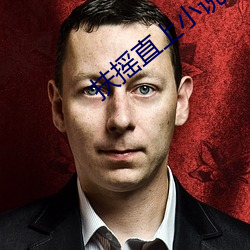 扶摇直上小说 （拾金不昧）