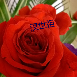 汉(hàn)世祖