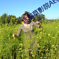 含羞草影院AE在线观看