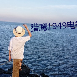 猎鹰1949电视剧免费观看 （面面相觑）