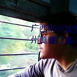 广西柳州莫菁门事件(关于广西柳州莫菁门事件的介绍) （桃李精神）