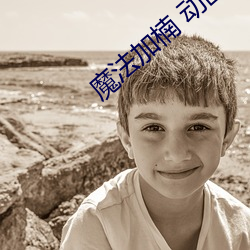 魔法加楠(nán) 动画