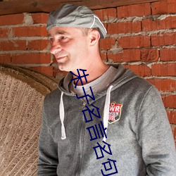 朱子名言名句 （负隅顽抗）