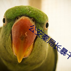 公安秦局长暴干警花笔趣阁