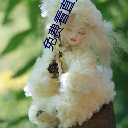 免费看直播不收费平台 （鬼哭狼嚎）