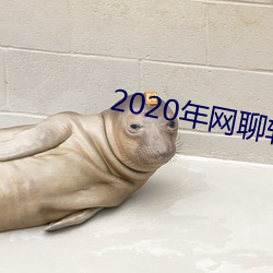 2020年网聊软件