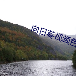 向日葵视频色板 （空拳白手）