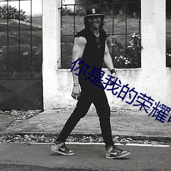 你是我的荣耀电视剧免费观