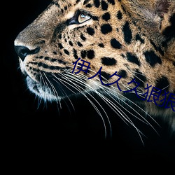 伊人(人)久(久)久狠狠色成人(人)综(綜)合