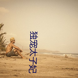 獨寵太子妃