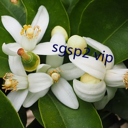 sgsp2 vip