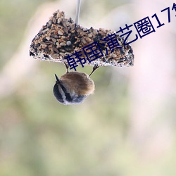 韓國演藝圈17集太漂亮了