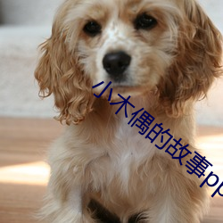 小木偶的故事ppt背景(景)素(素)材(材)