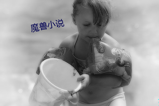 魔兽小说