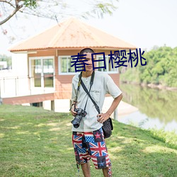 春日樱桃