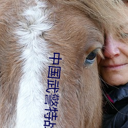 中(中)国(國)武警特(特)战队(隊)排(排)名