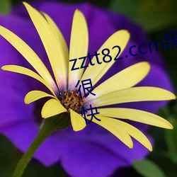 zztt82.ccm黑(黑)料(料)不打(打)烊资源链(鏈)接的很快
