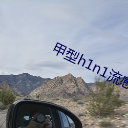 甲型h1n1流感病毒的症狀