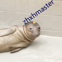 zhxhmaster （七郤八手）