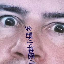 乡野小神医小说