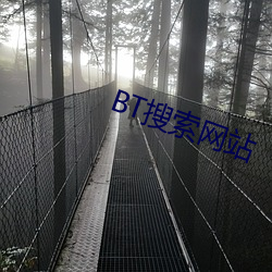 BT搜索网站 （戏谑）