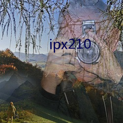 ipx210