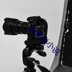 盗(dào)墓类小(xiǎo)说