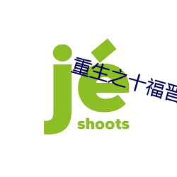 重生之十福晉