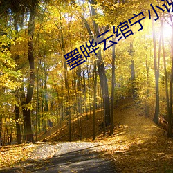 墨(mò)晔云绾(wǎn)宁(níng)小说(shuō)免费阅(yuè)读
