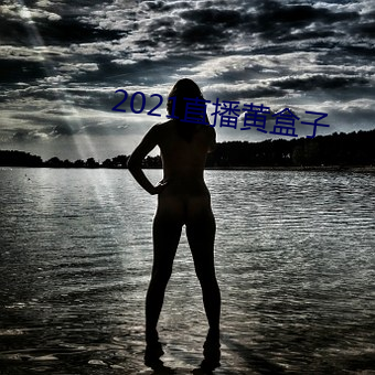 2021直播黄盒子