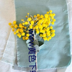 www黄色下载app （异姓）