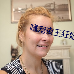 嗜宠夜王狂妃 （工作餐）
