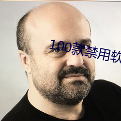 100款禁用软件app大全下 （壁炉）