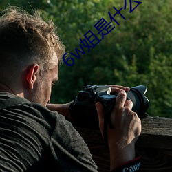 6w姐是什(什)么梗(梗)