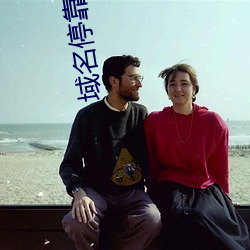 域(域)名？炕埔(頁)推广方案2023v9.69.00.00