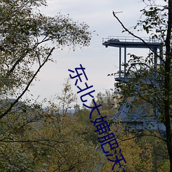 东北大婶(嬸)肥沃(沃)土地