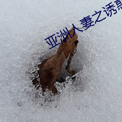 亚洲人妻之诱惑超碰在线