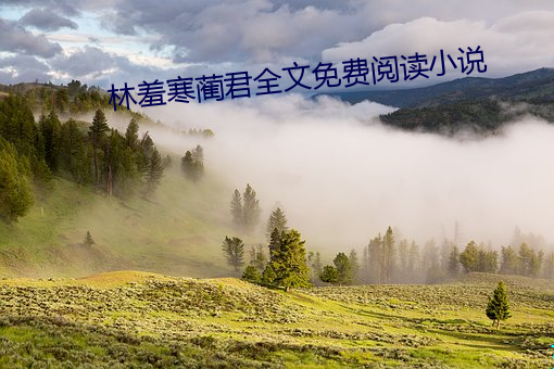 林(lín)羞寒(hán)蔺君全文免(miǎn)费阅读(dú)小说