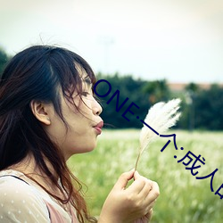 ONE·一个:成人的世界