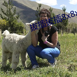 拔插拔插8x8x海外华人免 （讬物陈喻）