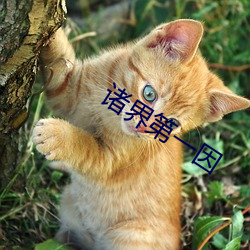 诸界第一因 （串味）